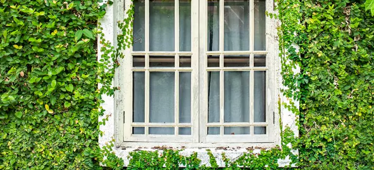 Garden Window Repair Near Me in Vero Beach, FL