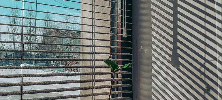 Commercial Window Blinds in Vero Beach, FL