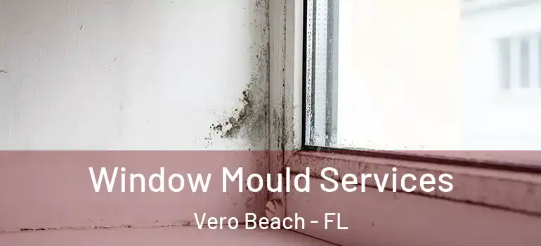 Window Mould Services Vero Beach - FL